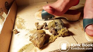 Dr Scholl's Nylon Feet dog sexy