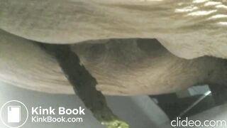 one of my GF 87 yo on toilets