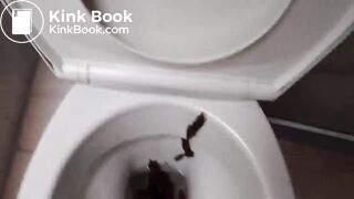 Male Scat