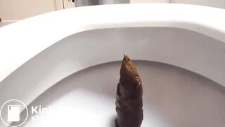 Male Scat