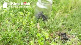 Scat Collecting with Crystal