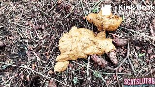 Almost Caught Shitting in the Woods