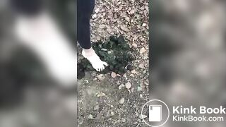 Girl Barefoot in Horse Shit