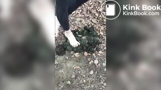 Girl Barefoot in Horse Shit