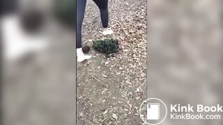 Girl Barefoot in Horse Shit