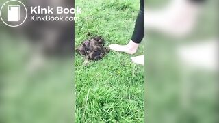 Girl Barefoot in Horse Shit 2