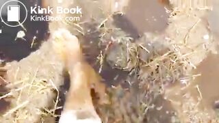 Girl Feet Sinks in Manure Sludge