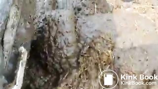 Girl Feet Sinks in Manure Sludge