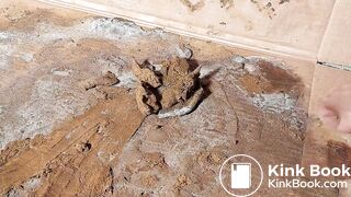 Asian Spice Pantyhose Shitty Gunky Box new