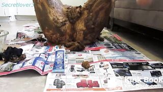 SecretLover3 All play and no work