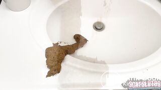 Appreciating Her Steamy Sink Turd
