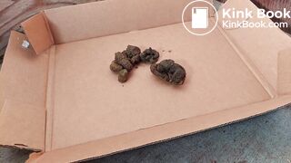 Filthy tan pantyhose dog shit MILF