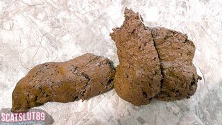 I Shit on the Kitchen Floor