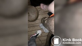 Scat Konstantin 1