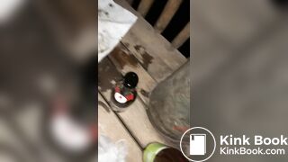 Scat Konstantin 1