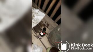Scat Konstantin 1
