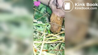 Public outdoor festival shit