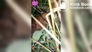 Public outdoor festival shit