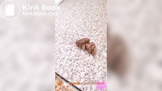 Thick shit on kitchen counter