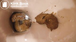 German toilet poop