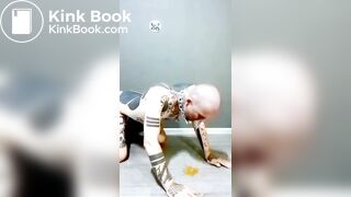 seven days of recycled shit