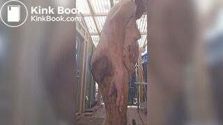 Scat play and sucking shifty dildos