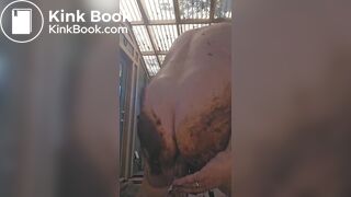 Scat play and sucking shifty dildos