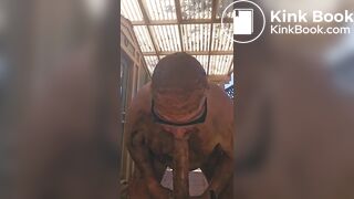 Scat play and sucking shifty dildos