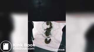Shit Scat Slave