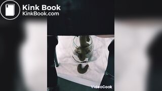 Shit Scat Slave