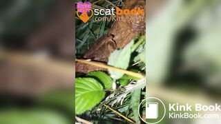 behind the camper vans