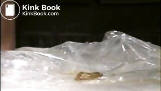 Phyllis Dunn quick shit before the ball game