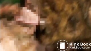 [Subtitled] ptj-007 1.1