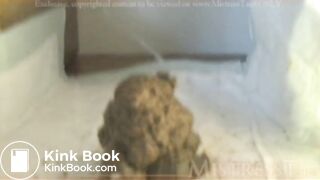 TMistress t femdom toilet slave piss shit scat