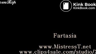 TMistress t femdom toilet slave piss shit scat