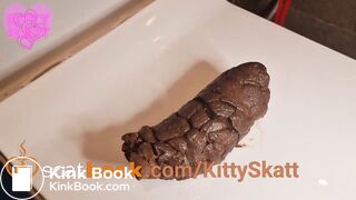 Desperate toilet lid log