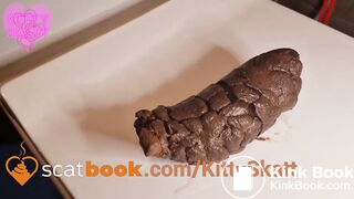 Desperate toilet lid log