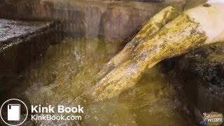 Brooke Maddison Manure Quality Expert