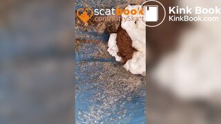 Festival toilet play POV