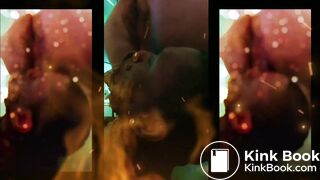 Coon Nigger Shit Eating Toilet