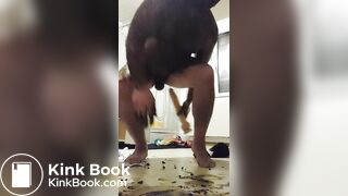 Ass fucking fun