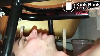 Scat meal