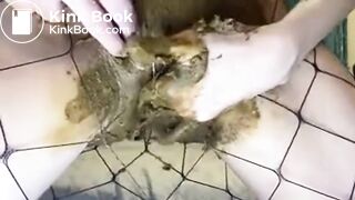 Cucumber scat