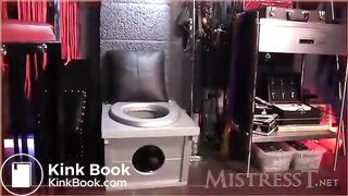 TMistressT femdom mistress scat toilet slave