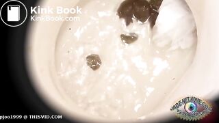 SCAT - Asian girls pooping in the toilet 2