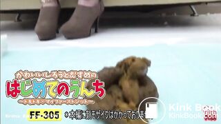 SCAT - Asian girls pooping in the toilet 3