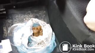 SCAT - PooAlina Pooping