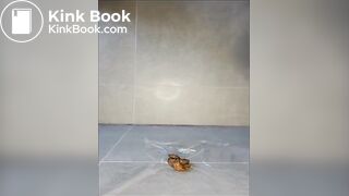 SCAT - Sexy girls Pooping 6