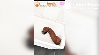 Massive sink log