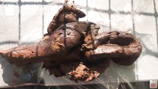 SCAT - Sexy girls Pooping 2